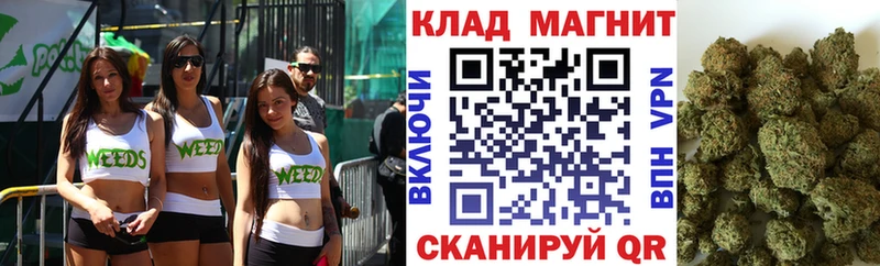 Названия наркотиков Дедовск АМФ  БУТИРАТ  Конопля  Меф 