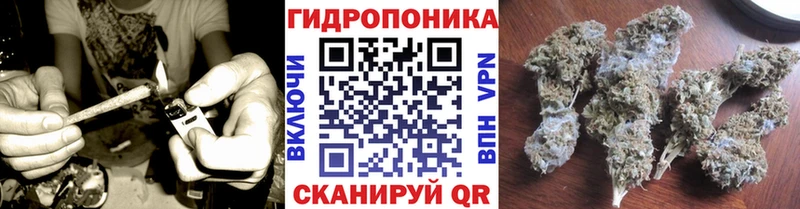 Бошки марихуана VHQ Дедовск